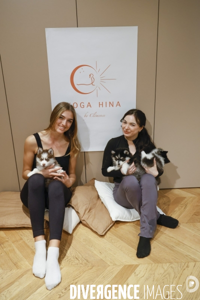 Puppy yoga chez yoga hina