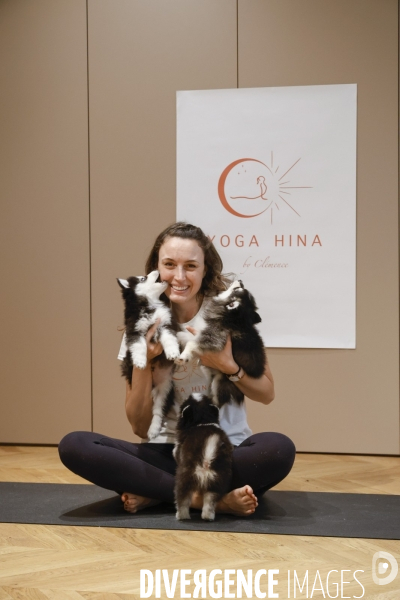 Puppy yoga chez yoga hina