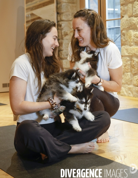 Puppy yoga chez yoga hina