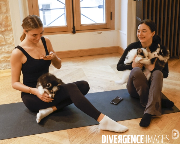 Puppy yoga chez yoga hina