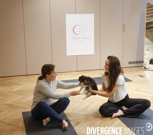 Puppy yoga chez yoga hina