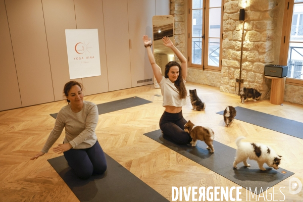 Puppy yoga chez yoga hina