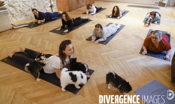 Puppy yoga chez yoga hina