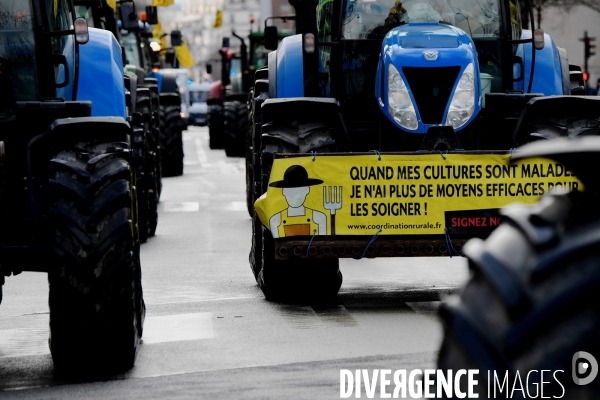 Manifestation des agriculteurs de la Coordination rurale