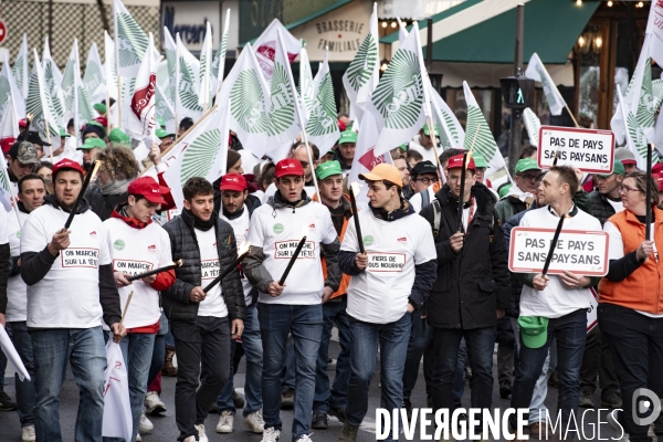 Le cortège des tracteurs
