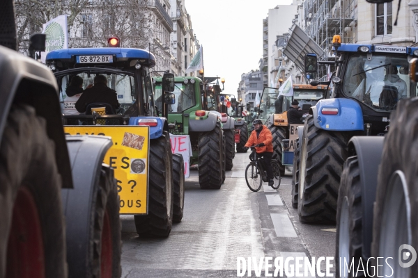 Le cortège des tracteurs