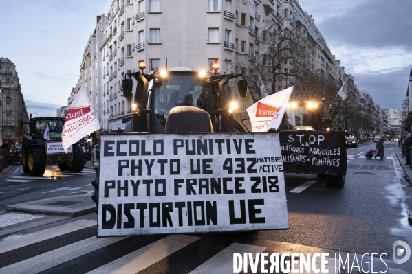 Le cortège des tracteurs