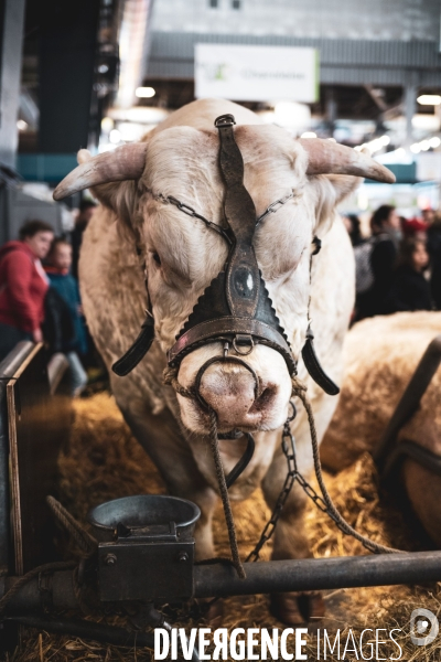 Salon de l agriculture