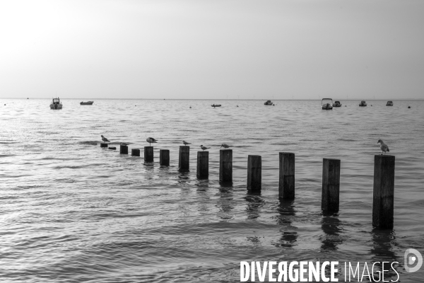 Ile de Noirmoutier
