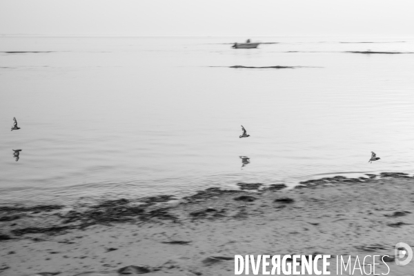 Ile de Noirmoutier