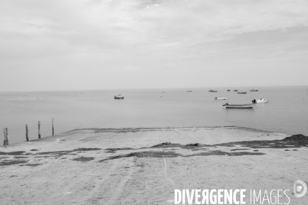Ile de Noirmoutier