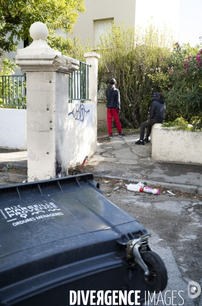 Trafic de drogue: BST 14 sur le terrain à Marseille 