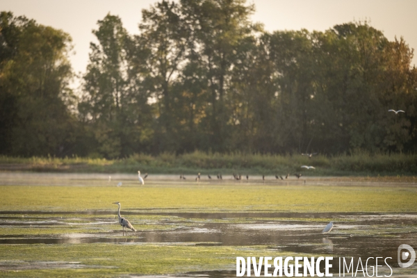Les derniers baliseurs De Loire