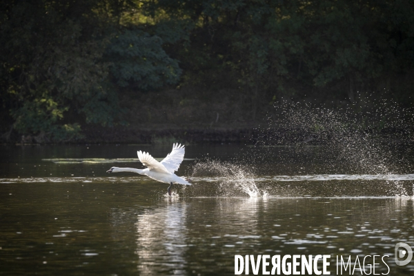 Les derniers baliseurs De Loire