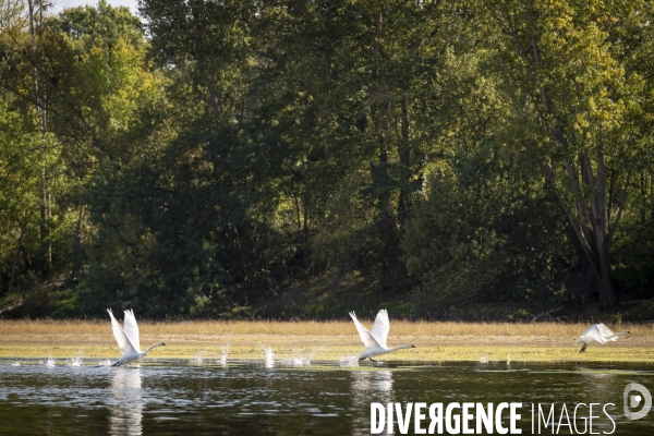 Les derniers baliseurs De Loire
