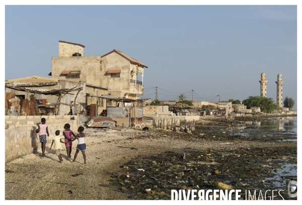 Afrique - senegal - fadiouth - coquillages