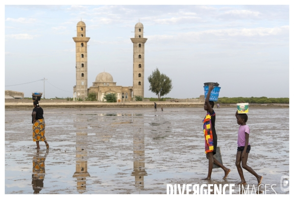 Afrique - senegal - fadiouth - coquillages