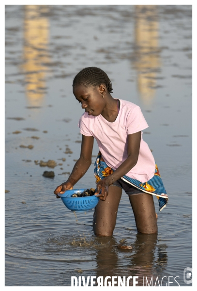 Afrique - senegal - fadiouth - coquillages