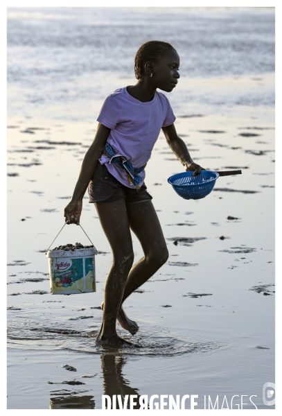 Afrique - senegal - fadiouth - coquillages