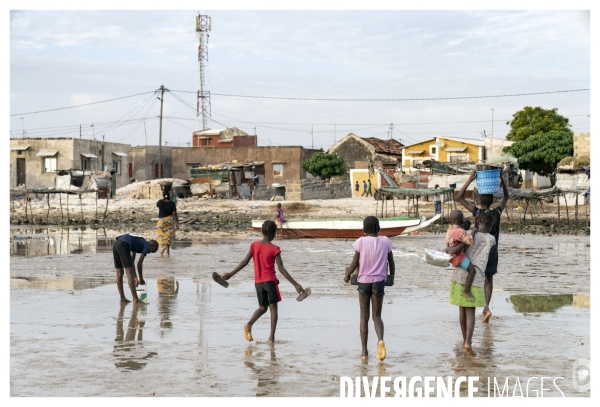 Afrique - senegal - fadiouth - coquillages
