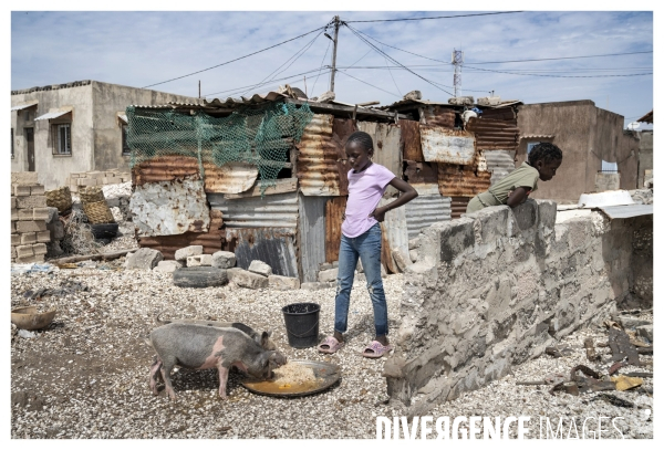 Afrique - senegal - fadiouth - coquillages