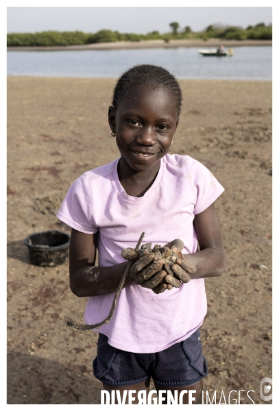 Afrique - senegal - fadiouth - coquillages