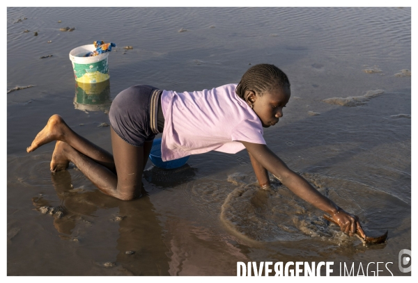 Afrique - senegal - fadiouth - coquillages