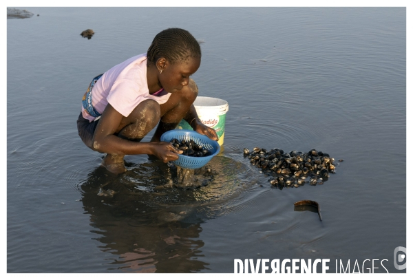 Afrique - senegal - fadiouth - coquillages
