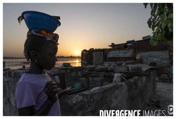 Afrique - senegal - fadiouth - coquillages