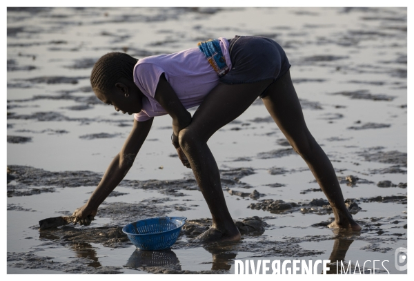 Afrique - senegal - fadiouth - coquillages