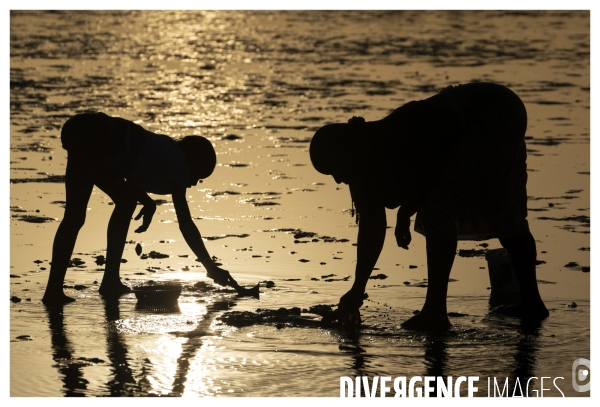 Afrique - senegal - fadiouth - coquillages