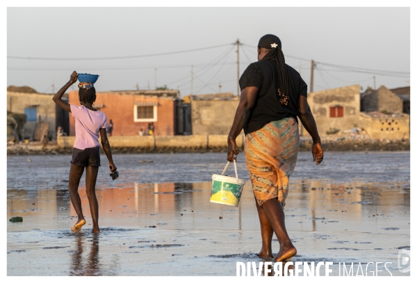 Afrique - senegal - fadiouth - coquillages