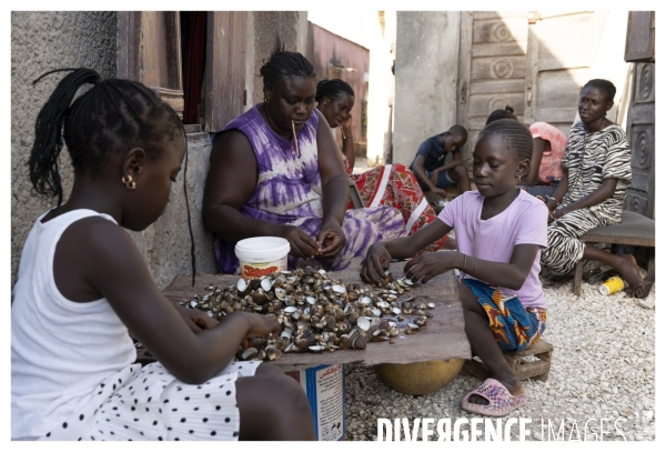 Afrique - senegal - fadiouth - coquillages