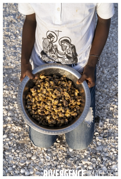 Afrique - senegal - fadiouth - coquillages