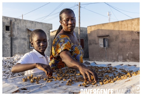 Afrique - senegal - fadiouth - coquillages