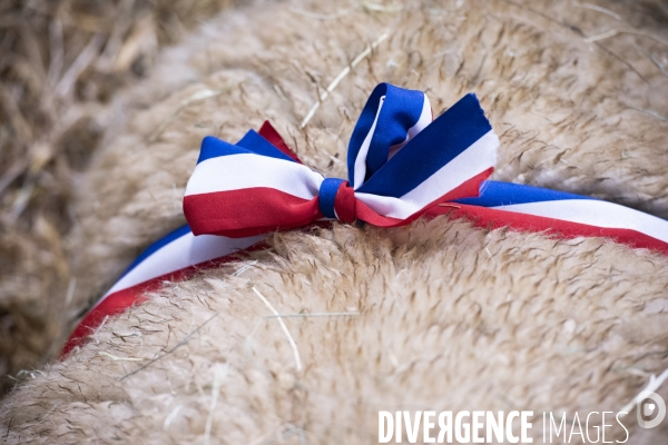 Veaux, vaches, cochons ...