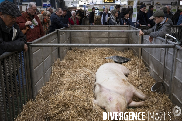 Veaux, vaches, cochons ...