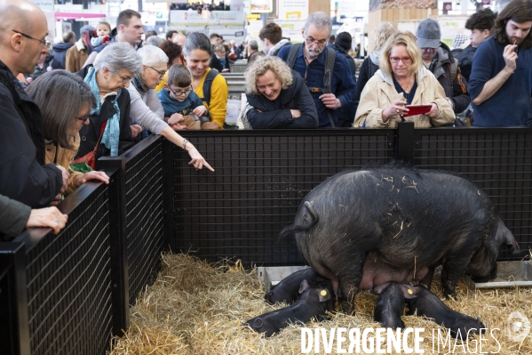 Veaux, vaches, cochons ...