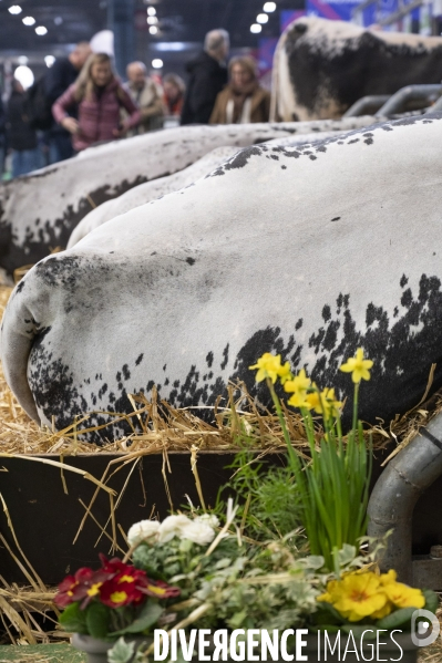 Veaux, vaches, cochons ...