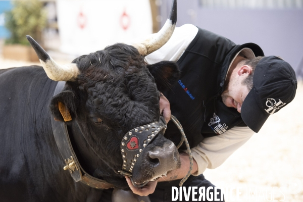 Veaux, vaches, cochons ...