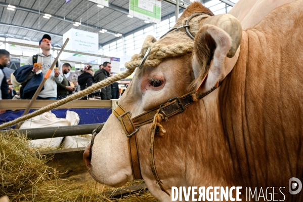 Salon International de l Agriculture 2024. Agricultural Show 2024
