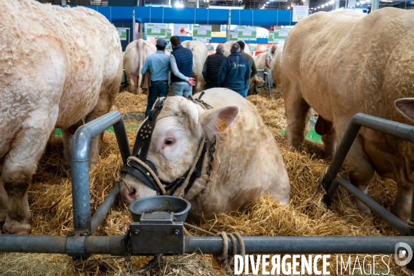 Salon International de l Agriculture 2024. Agricultural Show 2024