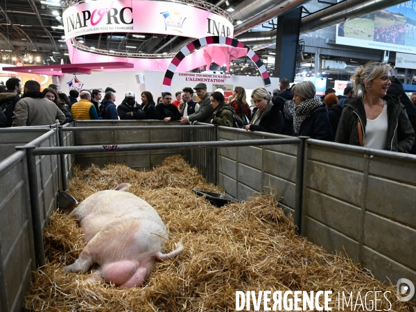 Salon International de l Agriculture 2024. Agricultural Show 2024