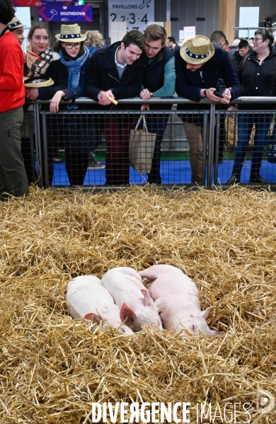 Salon International de l Agriculture 2024. Agricultural Show 2024