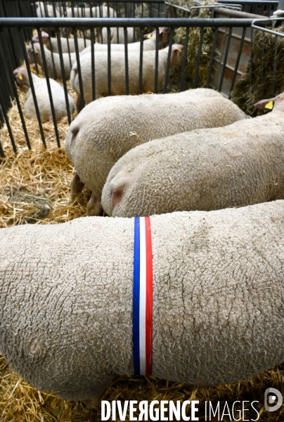 Salon International de l Agriculture 2024. Agricultural Show 2024
