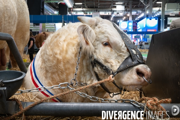 Salon International de l Agriculture 2024. Agricultural Show 2024