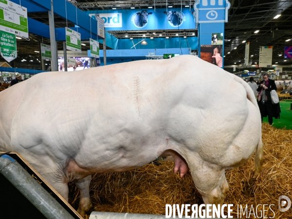 Salon International de l Agriculture 2024. Agricultural Show 2024