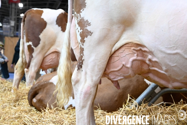 Salon International de l Agriculture 2024. Agricultural Show 2024
