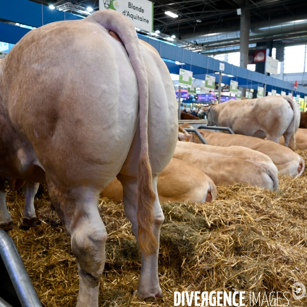 Salon International de l Agriculture 2024. Agricultural Show 2024