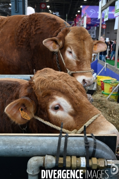 Salon International de l Agriculture 2024. Agricultural Show 2024